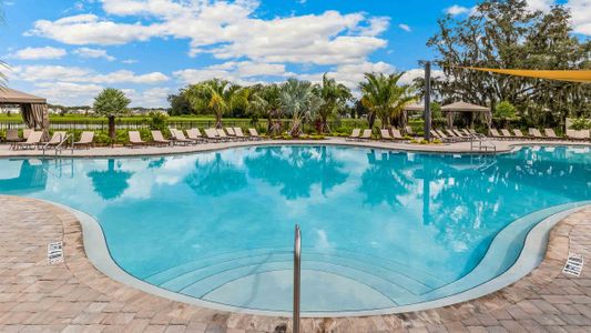 Summerstone by D.R. Horton in Wesley Chapel - photo 20 20
