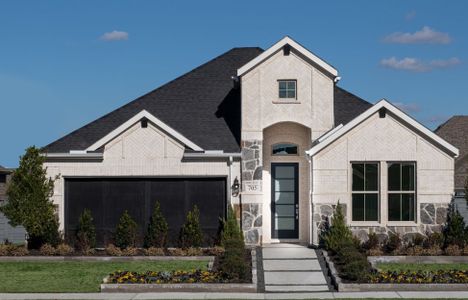 Discovery Collection at Union Park by Tri Pointe Homes in Little Elm - photo 10 10