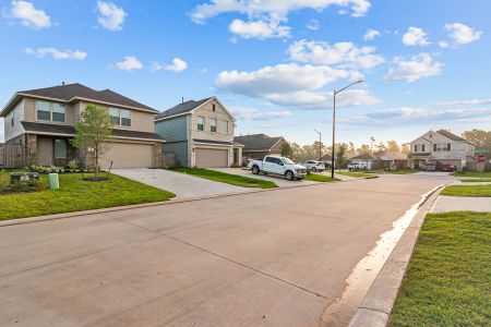 Moran Ranch by M/I Homes in Willis - photo 15 15