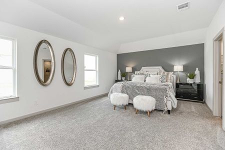 Sierra Vista by D.R. Horton in Iowa Colony - photo 20 20