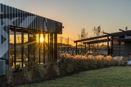 Mosaic by Bloomfield Homes in Prosper - image 17