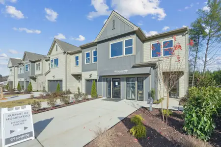 Summit At Homestead by Tri Pointe Homes in Chapel Hill - image 2