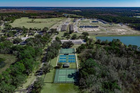 Pine Meadows Reserve by Trinity Family Builders in Eustis - image