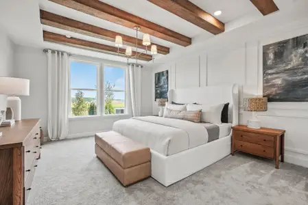 Carolina Riverside by Del Webb in Belmont - image 9