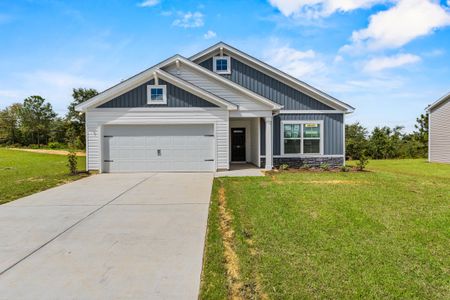 Forts Ridge by McGuinn Homes in Pelion - image