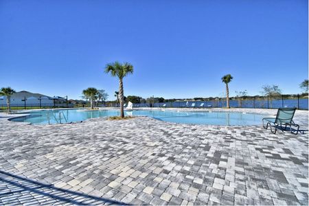 Villamar by Maronda Homes in Winter Haven - photo 7 7