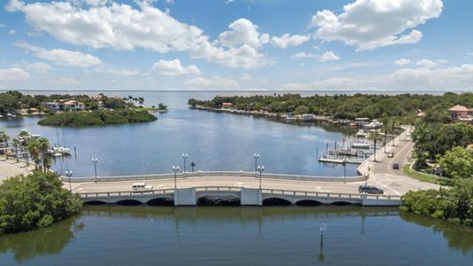 St. Pete – Urban Collection by David Weekley Homes in St. Petersburg - photo 24 24