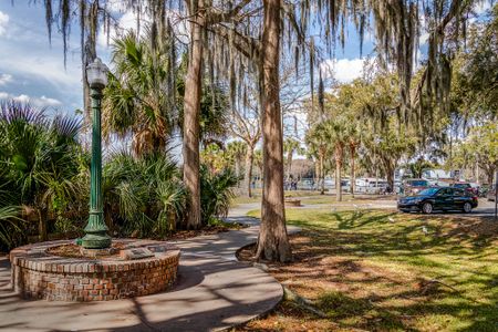 Sorrento & Mount Dora by Maronda Homes in Mount Dora - photo 17 17