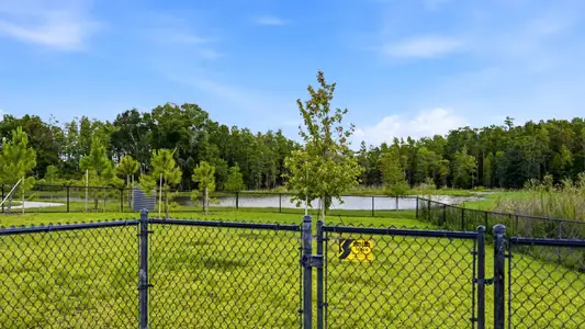 Longleaf: The Havens 21