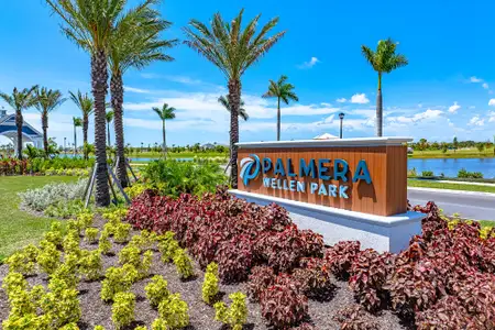 Palmera Wellen Park - Classic Series by David Weekley Homes in Venice - image