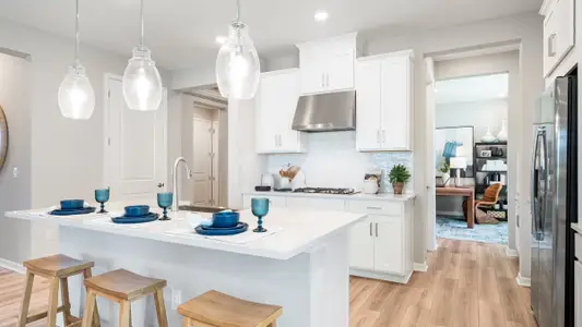 Palms at Coasterra by Taylor Morrison in Palmetto - image 5