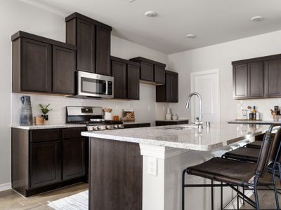 Paseos Del Este by View Homes in Horizon City - image 15