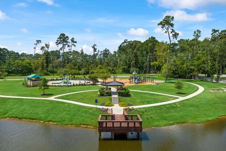 Lakes at Black Oak by Davidson Homes LLC in Magnolia - photo 9 9