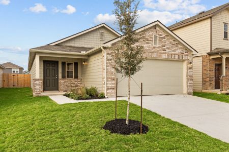 Park Place by M/I Homes in New Braunfels - photo 25 25