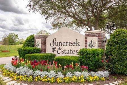 Suncreek Estates by CastleRock Communities in Rosharon - photo 3 3