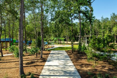 ARTAVIA® by Westin Homes in Conroe - image 16