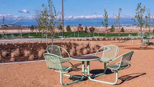 Woodrose at Painted Prairie by Risewell Homes in Aurora - image 10