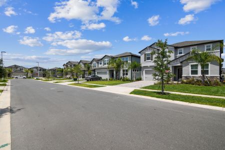 Cobblestone by M/I Homes in Zephyrhills - photo 17 17