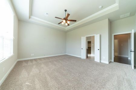 Valencia on the Lake by Megatel Homes in Little Elm - photo 17 17