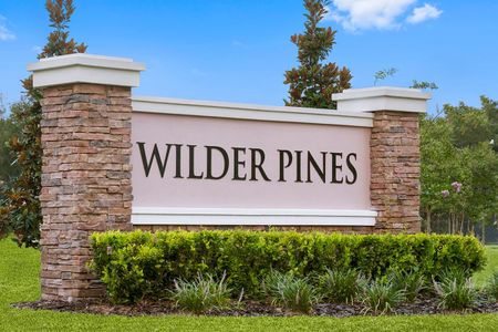 Wilder Pines by KB Home in Lakeland - photo 0