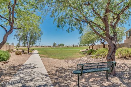 Heartland Ranch by D.R. Horton in Coolidge - photo 14 14