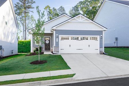 Twin Lakes Single-Family Homes by Ryan Homes in Hoschton - photo 0 0