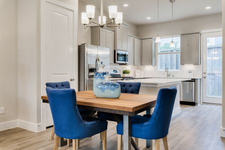 Regents Court by Colina Homes in Houston - photo 21 21