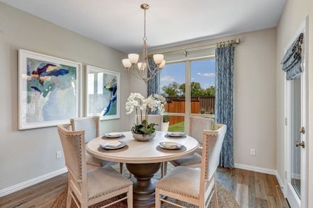 Light Farms by American Legend Homes in Celina - photo 25 25