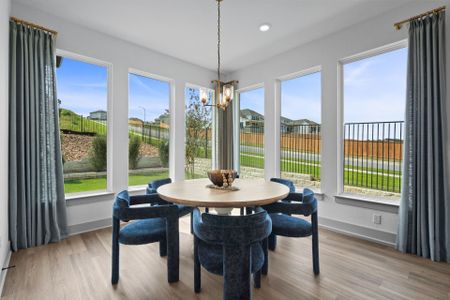 Palmera Ridge by Coventry Homes in Leander - image 11