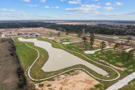 Sorella by M/I Homes in Tomball - photo 22 22