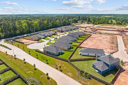 Lone Star Landing by M/I Homes in Montgomery - photo 3 3