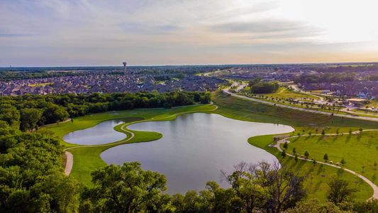 Trinity Falls: 50ft. lots by Highland Homes in McKinney - photo 10 10