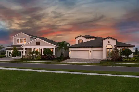 Waterset by Homes by WestBay in Apollo Beach - image 2