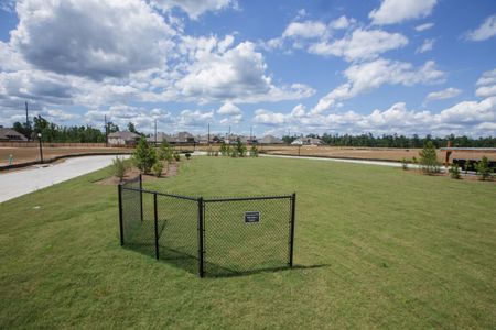 NorthGrove by Westin Homes in Magnolia - photo 9 9