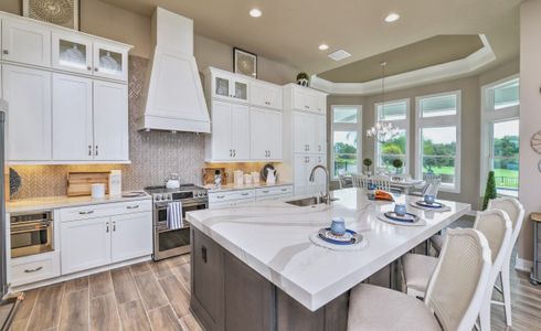 West Hill Estates by ICI Homes in Dade City - image 8