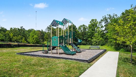 Richvale Estates by DRB Homes in Fairview - image
