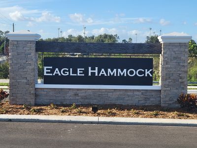 Eagle Hammock by D.R. Horton in Eagle Lake - photo 2 2