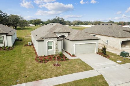 Lanier Acres by William Ryan Homes in Zephyrhills - photo 4 4