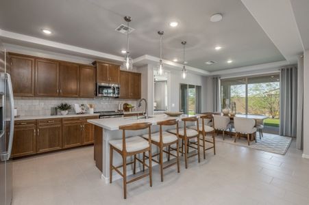 The Grove at El Cidro by William Ryan Homes in Goodyear - photo 36 36