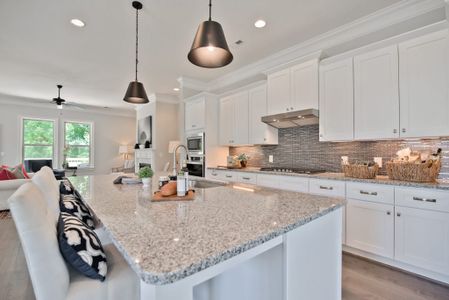 Summit at River Run by Peachtree Residential in Davidson - photo 16 16