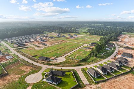 Lone Star Landing by M/I Homes in Montgomery - photo 0 0