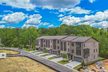 Echo Park by UnionMain Homes in Suwanee - image 5