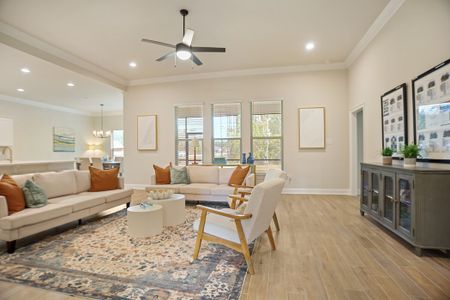 Starburst at Hammock Bay by DSLD Homes in Freeport - image 9