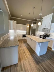 LakePointe by Christie Homes in Lavon - photo 13 13