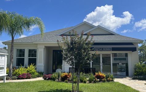 Coastal Gardens at Town Center by Paytas Homes in Palm Coast - photo 1 1