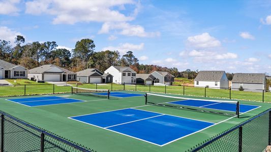 Harrier Point by DRB Homes in Woodruff - image 13