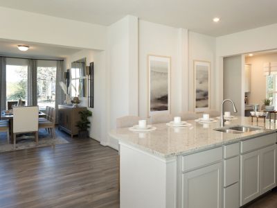 Thomas Pond by Meritage Homes in San Antonio - photo 9 9