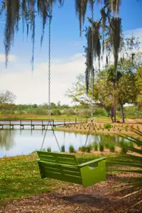 Oakland Park - Garden Series by David Weekley Homes in Winter Garden - photo 24 24