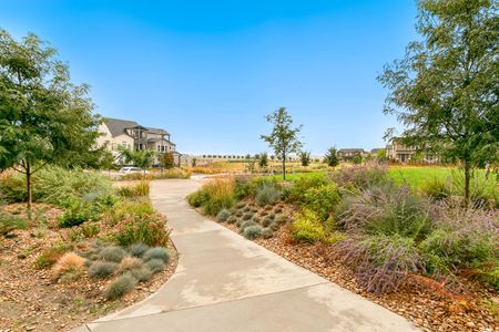 Baseline Parkside West – Single-Family Homes by David Weekley Homes in Broomfield - image 7