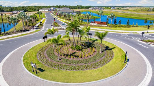 Palms at Coasterra 27